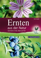 Axel Gutjahr - Ernten aus der Natur
