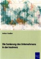 Anton Vasilev - Die Sanierung des Unternehmens in der Insolvenz