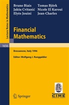 Brun Biais, Bruno Biais, Thoma Björk, Thomas Björk, Jak¿a Cvitanic, Jaksa Cvitanic... - Financial Mathematics