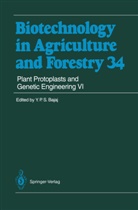 Y. P. S Bajaj, Y.P.S Bajaj, Yashal P. S. Bajaj, Yashpal P. S. Bajaj, Horst Lörz, Toshiyuki Nagata... - Biotechnology in Agriculture and Forestry - 34: Plant Protoplasts and Genetic Engineering VI