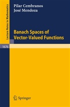Pila Cembranos, Pilar Cembranos, Jose Mendoza - Banach Spaces of Vector-Valued Functions