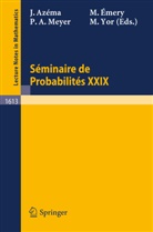 Jacques Azema, Michel Emery, Paul-Andre Meyer, Marc Yor - Seminaire de Probabilites XXIX