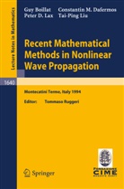 Guy Boillat, Constantin M. Dafermos, Peter D Lax, Peter D. Lax, Tai-Ping Liu, T. Ruggeri... - Recent Mathematical Methods in Nonlinear Wave Propagation