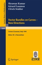 S. Kumar, Shrawan Kumar, G. Laumon, Gerard Laumon, Gérard Laumon, U. Stuhler... - Vector Bundles on Curves - New Directions