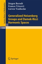 J. Berndt, Jürge Berndt, Jürgen Berndt, F. Tricerri, Franc Tricerri, Franco Tricerri... - Generalized Heisenberg Groups and Damek-Ricci Harmonic Spaces