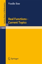 Vasile Ene - Real Functions - Current Topics