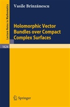Vasile Brinzanescu - Holomorphic Vector Bundles over Compact Complex Surfaces
