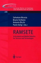 Antonio Bicchi, Antonio Bicchi et al, Salvatore Nicosia, Brun Siciliano, Bruno Siciliano, Paolo Valigi - RAMSETE