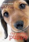 Gwen Bailey, Bailey Gwen - Perfect Puppy