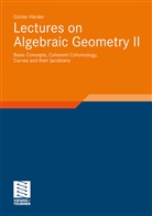 Günter Harder, Kla Diederich, Klas Diederich - Lectures on Algebraic Geometry - 2: Basic Concepts, Coherent Cohomology, Curves and their Jacobians