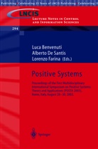Luca Benvenuti, Alberto de Santis, Lorenzo Farina, Alberto Santis, Alberto de Santis - Positive Systems: Theory and Applications