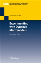 PierCarlo Nicola - Experimenting with Dynamic Macromodels