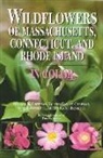 Alan Bessette, Alan E. Bessette, Arleen Bessette, Arleen R. Bessette, Valerie Chapman, Valerie A. Chapman... - Wildflowers of Massachusetts, Connecticut, and Rhode Island in Color