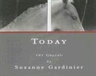 Suzanne Gardinier, Suzanne Gardinier - Today