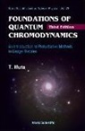 Taizo Muta, Muta Taizo - Foundations Of Quantum Chromodynamics: An Introduction To Perturbative Methods In Gauge Theories (3rd Edition)