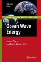 Joao Cruz - Ocean Wave Energy