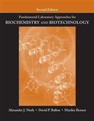 David Ballou, David P Ballou, David P. Ballou, Ballou David P., Marike Benore, Marilee Benore... - Fundamental Laboratory Approaches for Biochemistry and Biotechnology