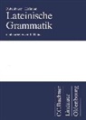 Kar Bayer, Karl Bayer, Hans Rubenbauer, Heine, Ro Heine, Rol Heine... - Lateinische Grammatik