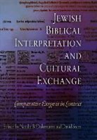 Natalie B. Stern Dohrmann, Natalie B Dohrmann, Natalie B. Dohrmann, David Stern - Jewish Biblical Interpretation and Cultural Exchange