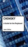 John Collins - Chomsky: A Guide for the Perplexed