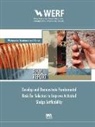 Mark H Chien, Vincent P De Lange, Vincent P Chien De Lange, Vincent P. de Lange, Donald M. D. Gray, Donald M. D. Gray (Gabb) - Develop and Demonstrate Fundamental Basis for Selectors to Improve