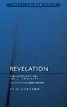 Paul Gardner, Null Null Null - Revelation: The Compassion and Protection of Christ