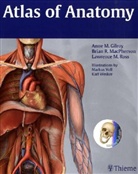 Anne M. Gilroy, Brian R. MacPherson, Lawrence M. Ross - Atlas of Anatomy
