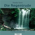Theodor Storm, Günter Pump - Die Regentrude