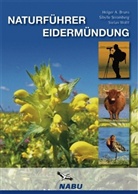 Holger Bruns, Holger A. Bruns, Sibyll Stromberg, Sibylle Stromberg, Stefan Wolff - Naturführer Eidermündung