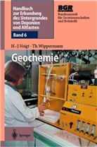 Hans-Jürge Voigt, Hans-Jürgen Voigt, Thomas Wippermann, Bundesanstalt für Geowissenschaften und Rohstoffe (BGR), Bundesanstalt für Geowissenschaften und Rohstoffe (BGR), Bundesanstal für Geowissenschaften und Rohsto... - Handbuch zur Erkundung des Untergrundes von Deponien und Altlasten - 6: Geochemie