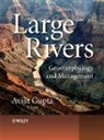 Avijit Gupta, Gupta Avijit, Avijit Gupta - Large Rivers