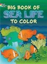 &amp;apos, Anthony De Leiris attilio, Anthony D'Attilio, Lucia De Leiris, Lucia Deliris, Lucia De Leiris... - Big Book of Sea Life to Color