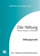 Ingo Saenger, Olaf Werner - Die Stiftung