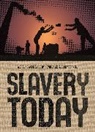 Kevin Bales, Bales Kevin, Becky Cornell, Rebecca Cornell, Jane Springer - Slavery today