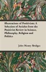 John Henry Bridges - Illustrations of Positivism; a Selection