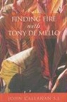 John Callanan, CALLANAN JOHN - Finding Fire With Tony De Mello