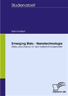 Katrin Knebel - Emerging Risks - Nanotechnologie