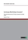 Daniela Stein, Oliver Stuenkel - Can Europe afford Turkey's accession?