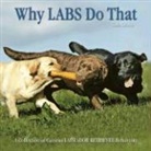 Tom Davis - Why Labs Do That: A Collection of Curious Labrador Retriever Behaviors