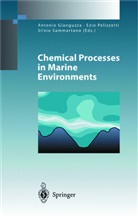 Antonio Gianguzza, Ezi Pelizzetti, Ezio Pelizzetti, Silvio Sammartano - Chemical Processes in Marine Environments
