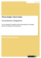 Ren Linden, René Linden, Florian Ziegler - Econometrics Assignment