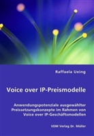 Raffaela Ueing - Voice over IP-Preismodelle