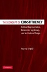 Andrew Rehfeld, Rehfeld Andrew - Concept of Constituency