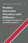 Ross G. Pinsky - Positive Harmonic Functions and Diffusion