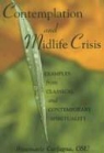 Rosemarie Carfagna - Contemplation and Midlife Crisis