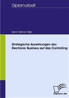 Sandi Tvrtkovic-Rajic - Strategische Auswirkungen des Electronic Business auf das Controlling
