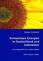 Gesine Partzsch - Erneuerbare Energien in Deutschland und Indonesien