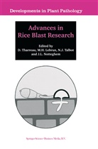 H Lebrun, M H Lebrun, N J Talbot et al, M. H. Lebrun, M.H. Lebrun, J. L. Notteghem... - Advances in Rice Blast Research