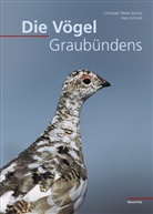 Christoph Meier-Zwicky, Hans Schmid - Die Vögel Graubündens