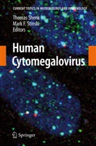 Thoma E Shenk, Thomas E Shenk, F Stinski, F Stinski, Thomas E. Shenk, Mark F. Stinski - Human Cytomegalovirus